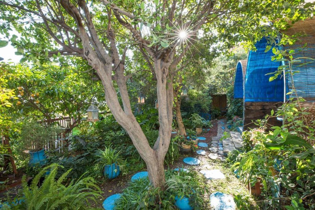 Havaya Ba Nof Lodge Rosh Pinna Exterior photo
