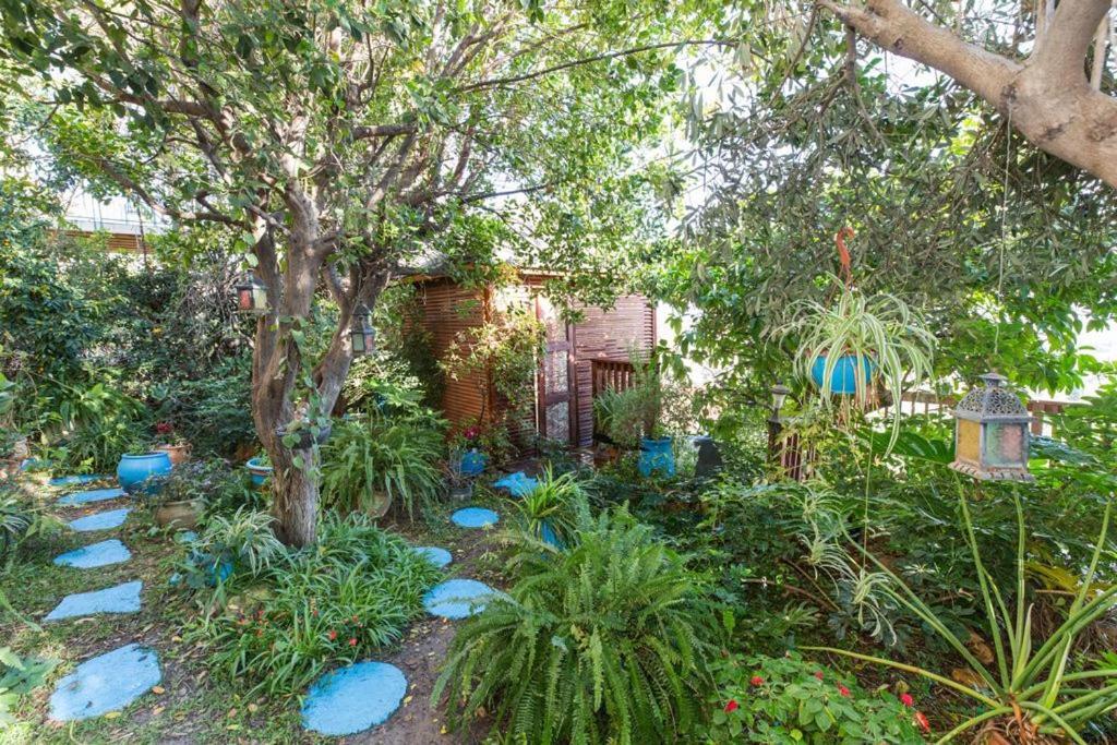 Havaya Ba Nof Lodge Rosh Pinna Exterior photo